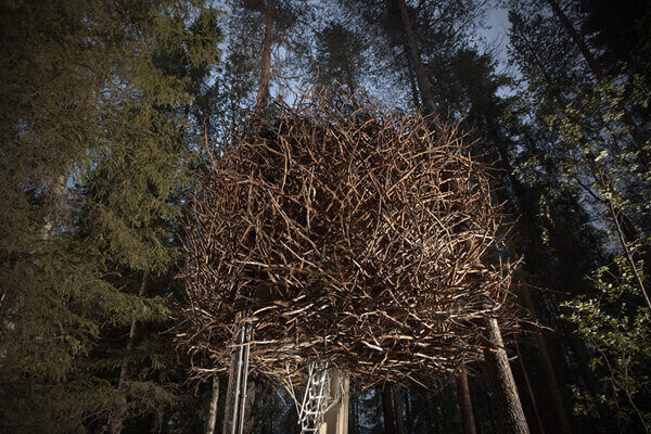 Bird’s Nest - Treehotel