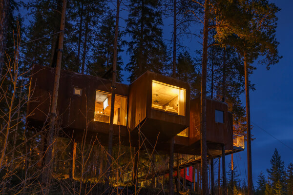 Dragonfly - Treehotel